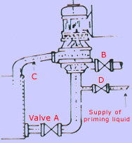 Vertical Glandless Pump, Installation Guide, Glandless Pump Manufacturer.