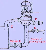 Vertical Glandless Pump Installation