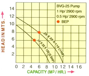 MODEL: BVG - 25
