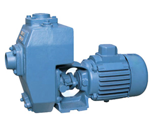 PP Pumps in South Africa 